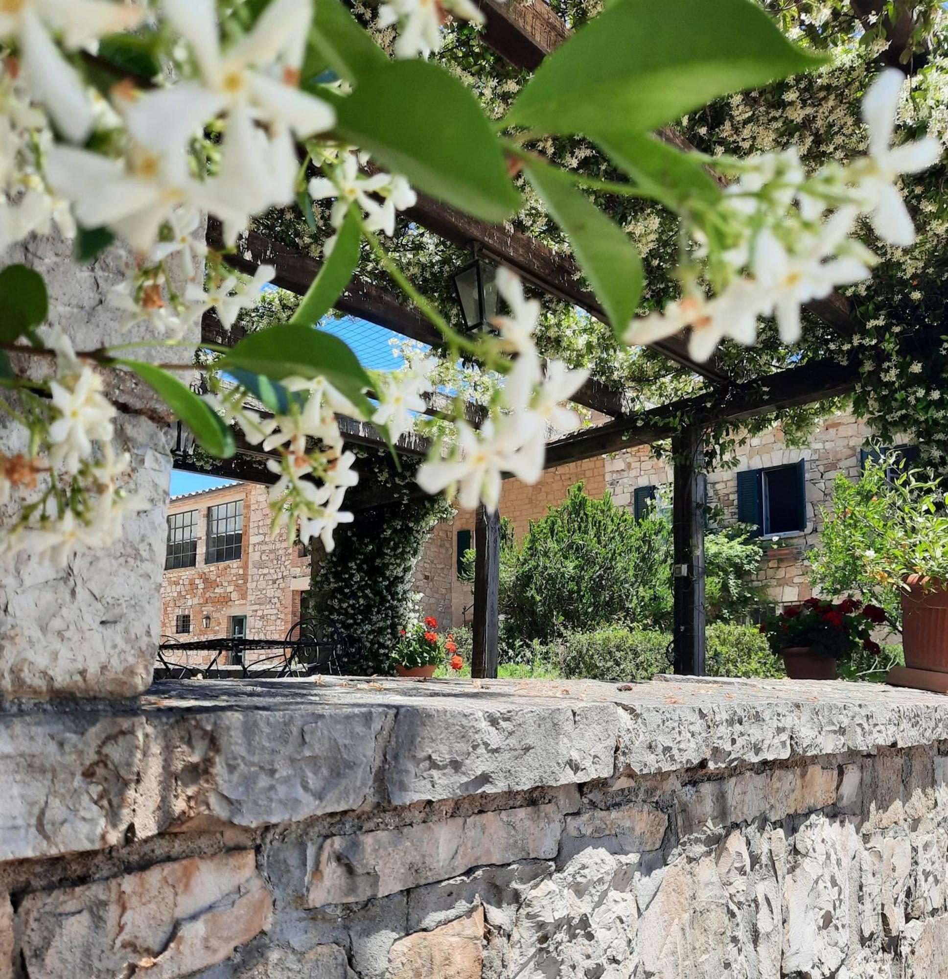 Agriturismo Tenuta Conti Faina Fratta Todina Exteriör bild